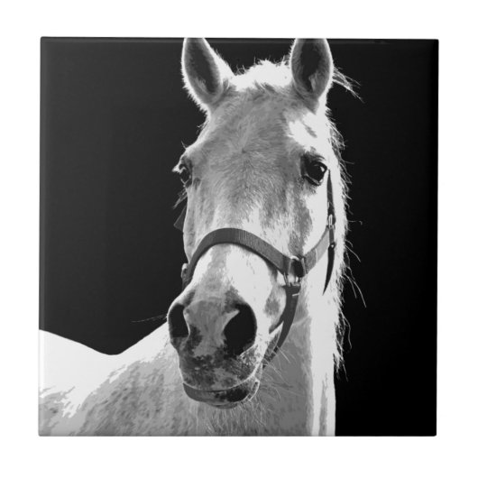Black White Horse in de nacht close-up Tegeltje (Voorkant)