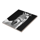 Black White Horse in de nacht close-up Tegeltje (Zijkant)