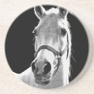 Black White Horse in de nacht close-up Zandsteen Onderzetter