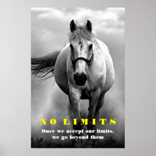 Black White Horse Motivatie zonder grenzen Poster