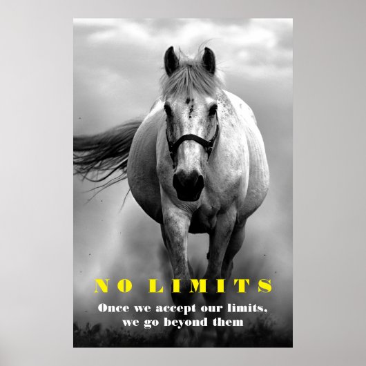 Black White Horse Motivatie zonder grenzen Poster (Voorkant)