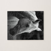 Black White Horse Photo - Animals Art Legpuzzel (Horizontaal)