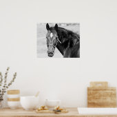 Black White Horse Poster (Keuken)