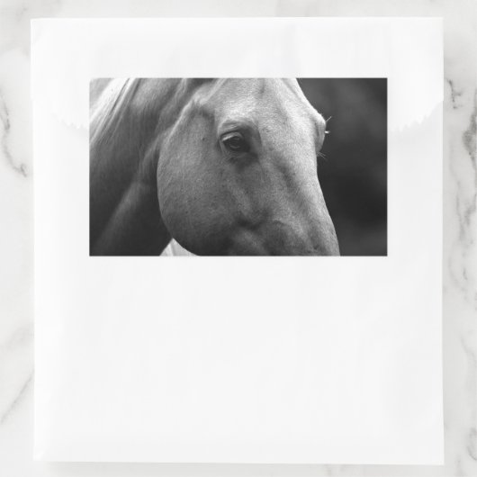 Black White Horse Rechthoekige Sticker (Tas)