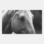 Black White Horse Rechthoekige Sticker (Voorkant)