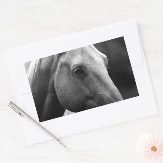 Black White Horse Rechthoekige Sticker (Envelop)