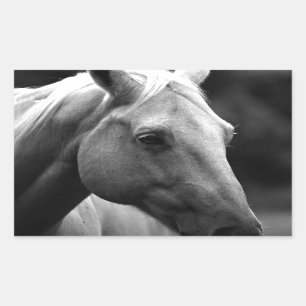 Black White Horse Rechthoekige Sticker