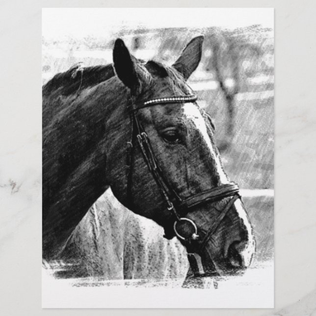 Black White Horse Sketch (Voorkant)