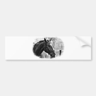 Black White Horse Sketch Bumpersticker