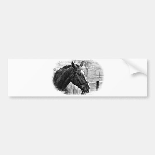 Black White Horse Sketch Bumpersticker (Voorkant)
