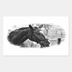Black White Horse Sketch Rechthoekige Sticker