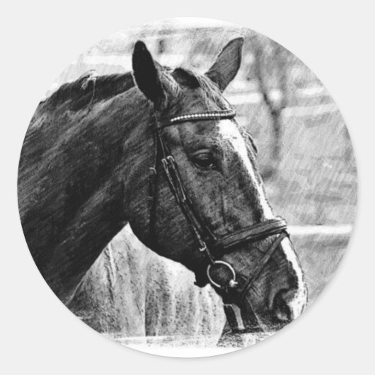 Black White Horse Sketch Ronde Sticker (Voorkant)