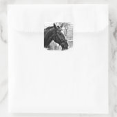Black White Horse Sketch Vierkante Sticker (Tas)