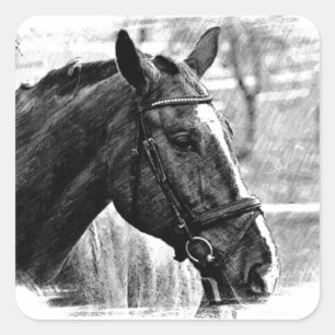 Black White Horse Sketch Vierkante Sticker