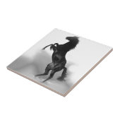 Black White Horse Tegeltje (Zijkant)