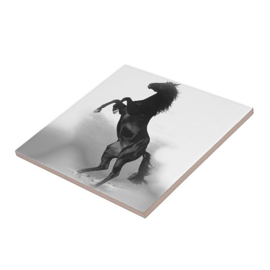 Black White Horse Tegeltje (Zijkant)