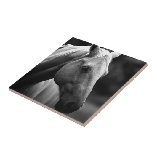 Black White Horse Tegeltje (Zijkant)