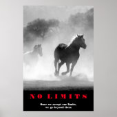 Black White Horses Motivatie zonder grenzen Artwor Poster (Voorkant)
