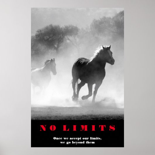 Black White Horses Motivatie zonder grenzen Artwor Poster (Voorkant)
