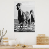 Black White Horses Motivatie zonder grenzen Artwor Poster (Keuken)