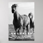 Black White Horses Motivatie zonder grenzen Artwor Poster (Voorkant)