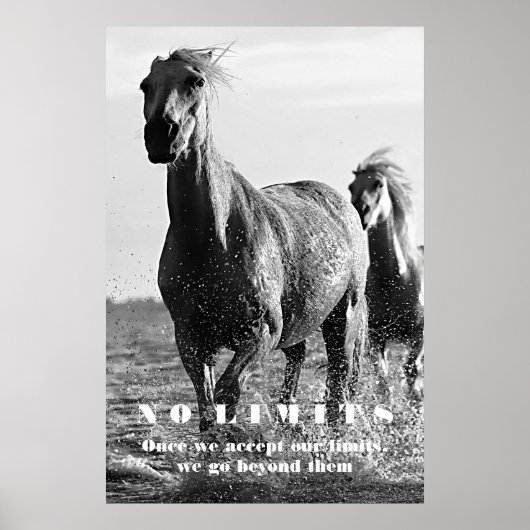 Black White Horses Motivatie zonder grenzen Artwor Poster (Voorkant)