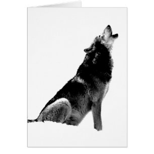 Black White Howling Wolf