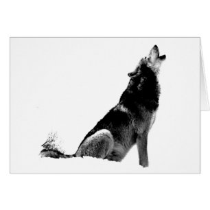 Black White Howling Wolf