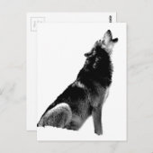 Black White Howling Wolf Briefkaart (Voorkant / Achterkant)
