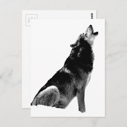 Black White Howling Wolf Briefkaart (Voorkant / Achterkant)