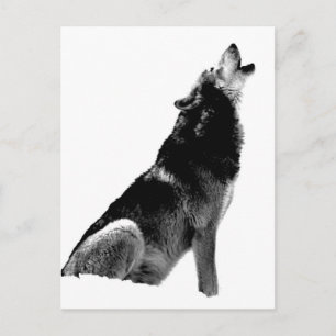 Black White Howling Wolf Briefkaart