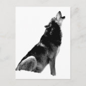 Black White Howling Wolf Briefkaart (Voorkant)