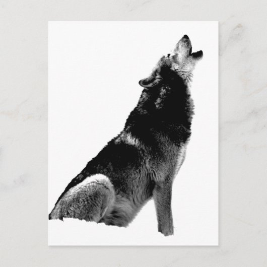 Black White Howling Wolf Briefkaart (Voorkant)