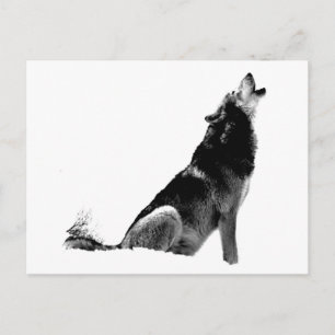 Black White Howling Wolf Briefkaart