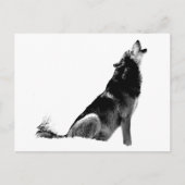 Black White Howling Wolf Briefkaart (Voorkant)