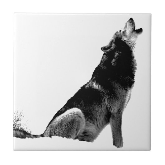 Black White Howling Wolf Tegeltje (Voorkant)