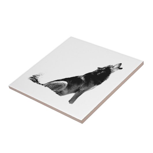 Black White Howling Wolf Tegeltje (Zijkant)
