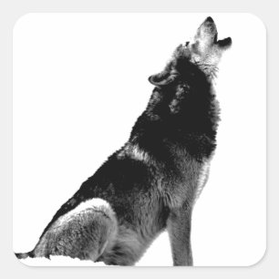 Black White Howling Wolf Vierkante Sticker