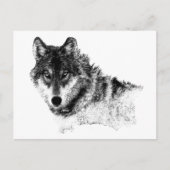Black White Inspirerend Wolf Eyes Briefkaart (Voorkant)