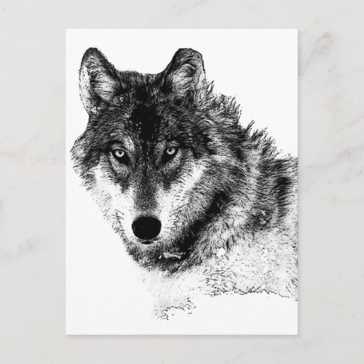 Black White Inspirerend Wolf Eyes Briefkaart (Voorkant)