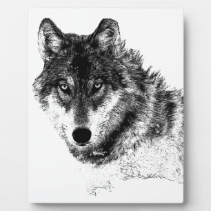 Black White Inspirerend Wolf Eyes Fotoplaat