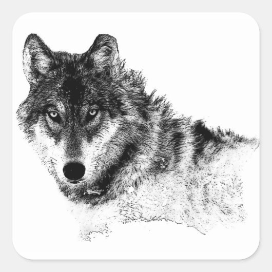Black White Inspirerend Wolf Eyes Vierkante Sticker (Voorkant)