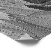 Black White Iris Flowers Original Art Poster (Hoek)