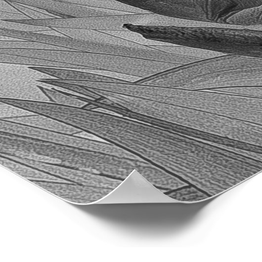 Black White Iris Flowers Original Art Poster (Hoek)