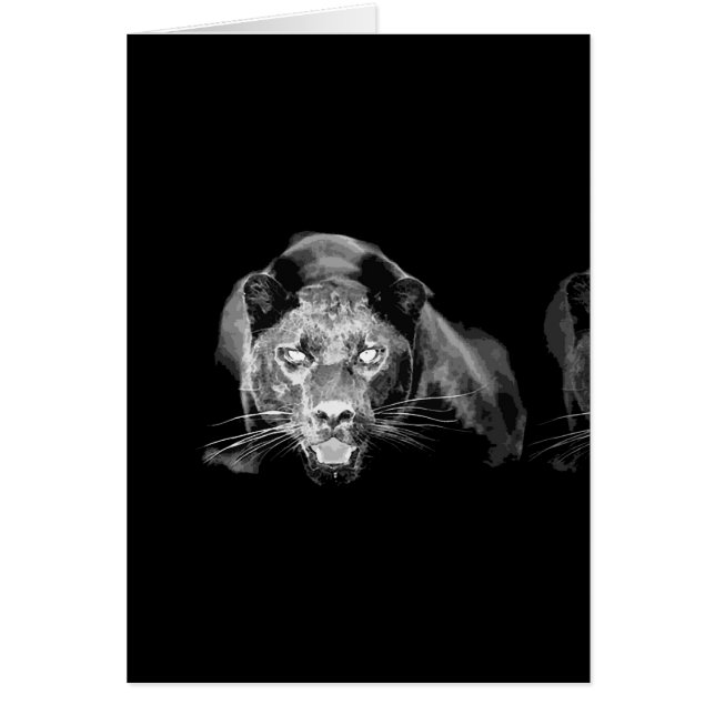 Black & White Jaguar - Wild Cats Kaarten te koop (Voorkant)