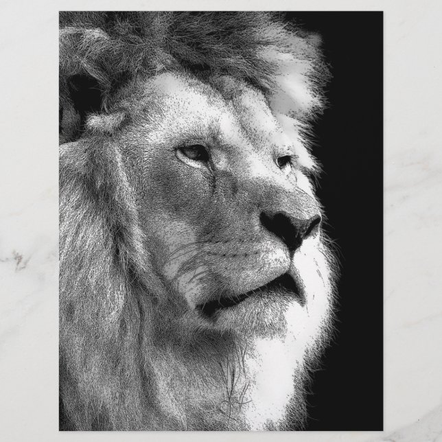 Black White Lion (Voorkant)