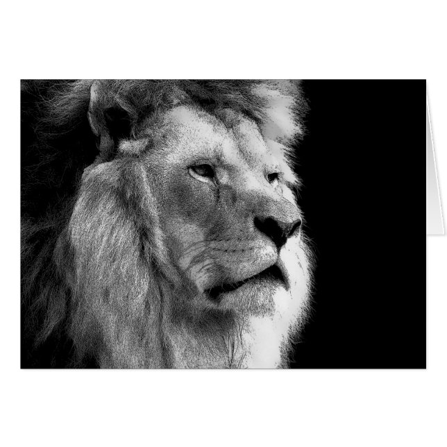 Black White Lion (Voorkant Horizontaal)