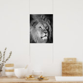 Black White Lion - Animal Photography Art Poster (Keuken)