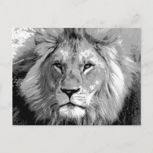 Black White Lion Briefkaart (Voorkant)