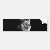 Black White Lion Bumpersticker (Voorkant)